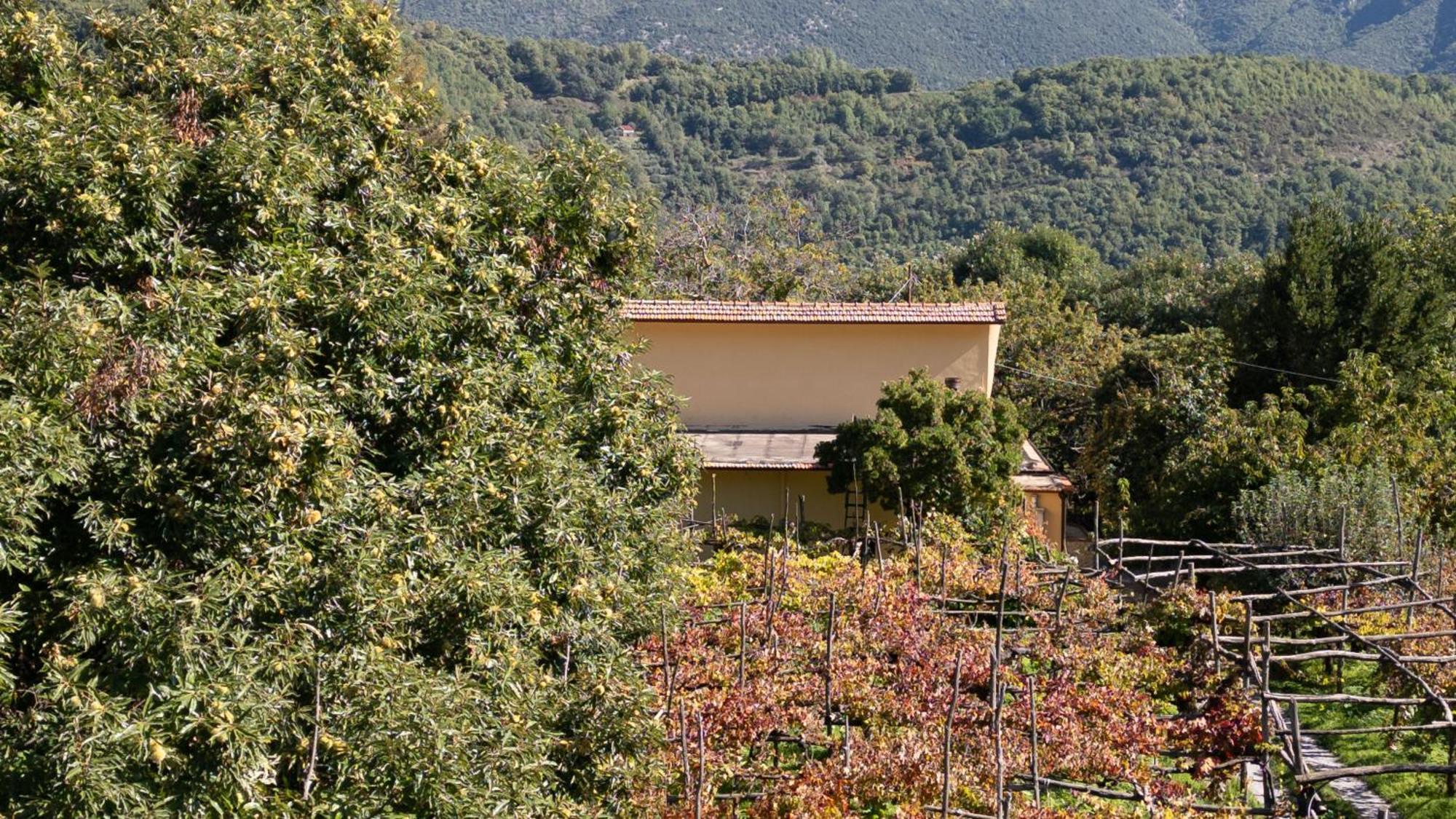 فيلا Casa Giordano ترامونتي المظهر الخارجي الصورة