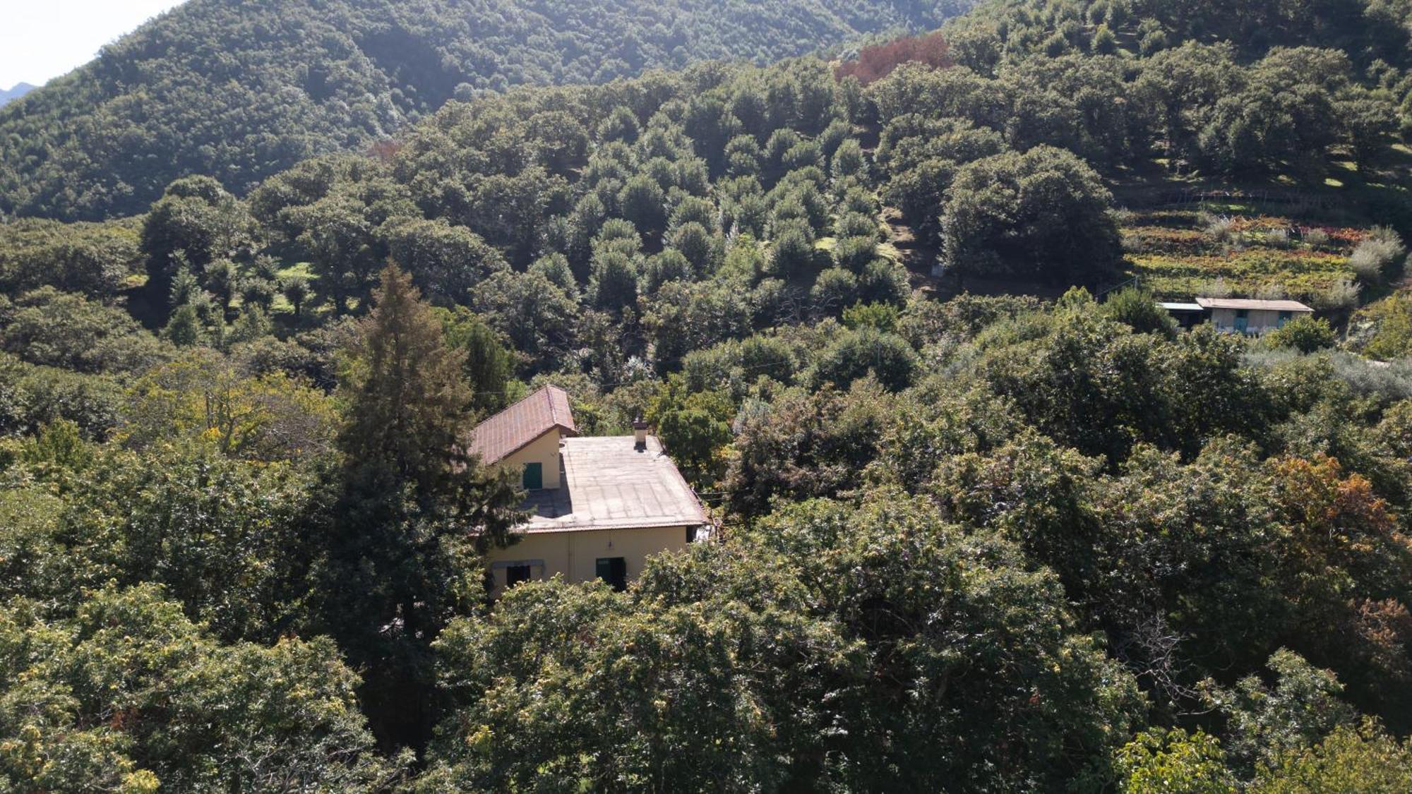 فيلا Casa Giordano ترامونتي المظهر الخارجي الصورة